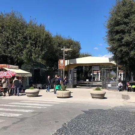 Domus Narciso Gallery לינה וארוחת בוקר