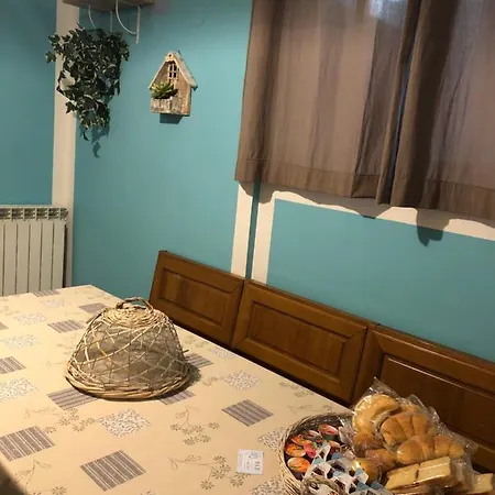 Domus Narciso Gallery *