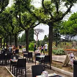 Domus Narciso Gallery Bed & Breakfast *